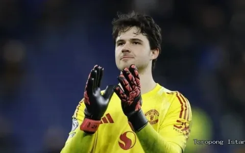 Lammens Jadi Tembok MU di Kandang Everton