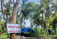 Sudah Dipatroli Dan Dilaporkan, Tambang Batubara Ilegal Di Cihara Belum Juga Berhenti