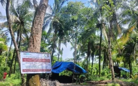 Sudah Dipatroli dan Dilaporkan, Tambang Batubara Ilegal di Cihara Belum juga Berhenti