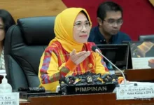 Lpdp Disebut Investasi Sdm, Dpr Minta Akuntabilitas Alumni