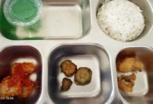 Gawat, Menu Mbg Picu Anak-Anak Muntah Di Nias Selatan