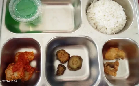 Gawat, Menu MBG Picu Anak-Anak Muntah di Nias Selatan