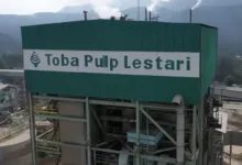 Izin Tpl Dicabut, Maruli Dan Irman Desak Negara Lindungi Hak Buruh