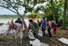 Jembatan Harapan Di Sungai Cibaliung: Tni Dan Warga Satukan Tenang Bangun Masa Depan