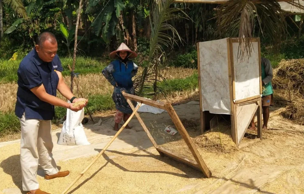 Hadir Dengan Hati, Bulog Angkat Derajat Petani Lebak