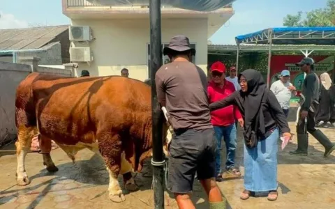 Wakil Ketua DPRD Tangerang Kurban Hewan Berkualitas, Warga: Sosok Panutan