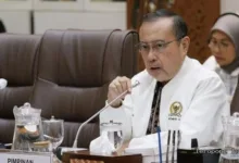 Hantavirus Merebak Di Kapal Pesiar, Komisi Ix Dpr Desak Pemerintah Siaga Dan Perkuat Skrining
