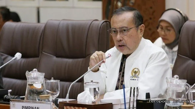 Hantavirus Merebak Di Kapal Pesiar, Komisi Ix Dpr Desak Pemerintah Siaga Dan Perkuat Skrining