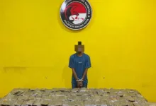Satresnarkoba Polresta Sorong Kota Gagalkan Peredaran 4,8 Kilogram Ganja, Satu Tersangka Diamankan
