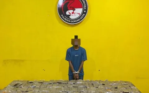 Satresnarkoba Polresta Sorong Kota Gagalkan Peredaran 4,8 Kilogram Ganja, Satu Tersangka Diamankan
