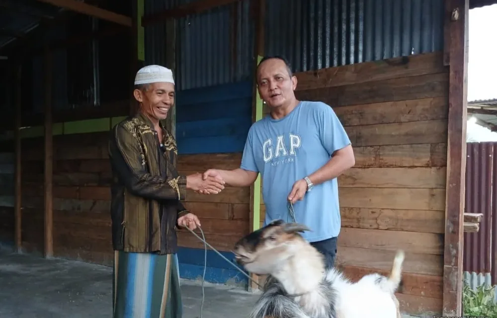 Rayakan Idul Adha Untuk Warga Papua, Pt Kristalin Ekalestari Salurkan 41 Hewan Kurban