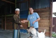 Rayakan Idul Adha Untuk Warga Papua, Pt Kristalin Ekalestari Salurkan 41 Hewan Kurban