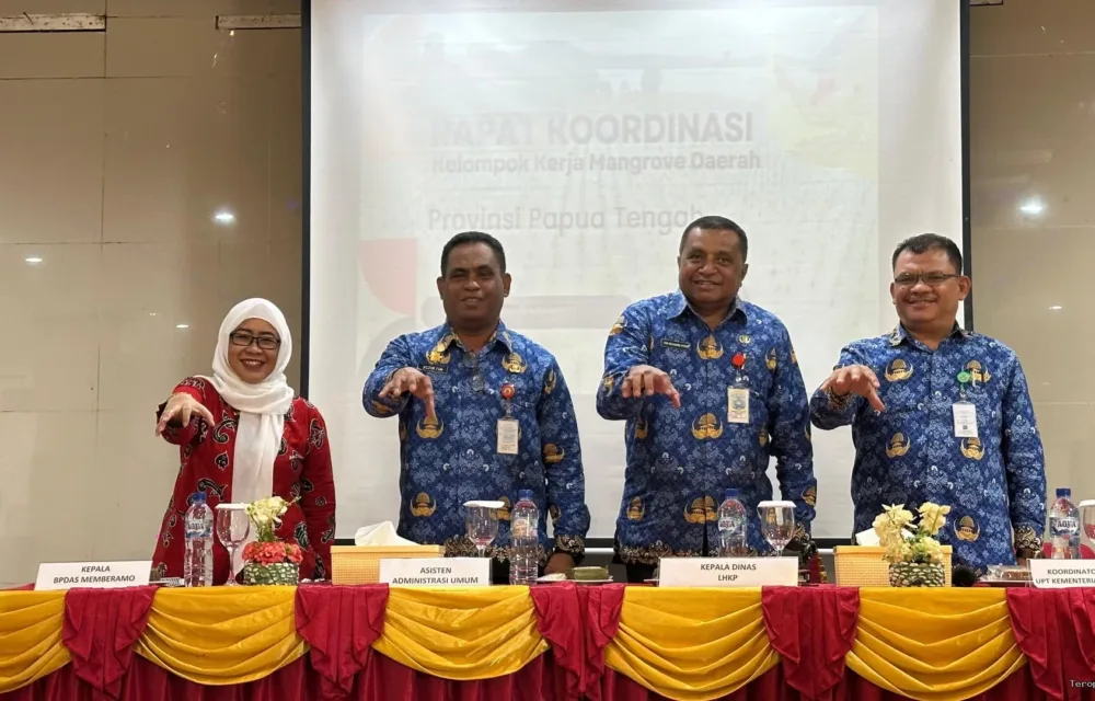 Pemprov Papua Tengah Perkuat Pelestarian Mangrove Lewat Pembentukan Kkmd