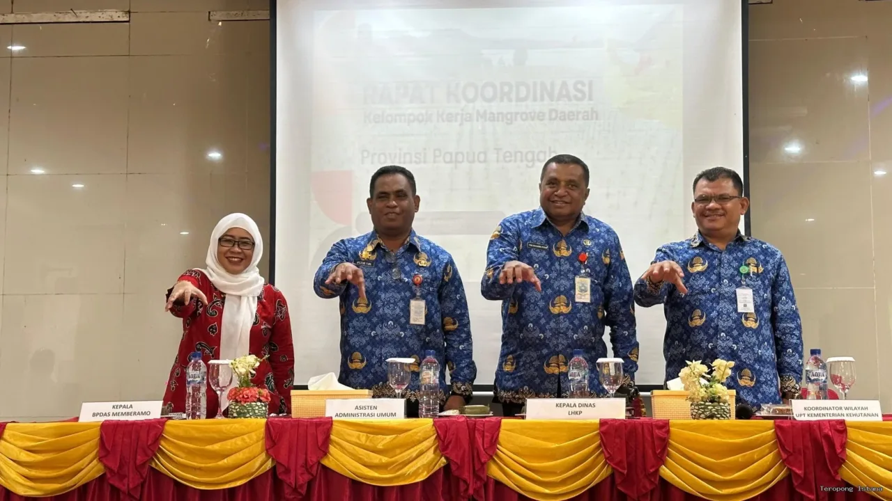 Pemprov Papua Tengah Perkuat Pelestarian Mangrove Lewat Pembentukan KKMD