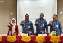 Pemprov Papua Tengah Perkuat Pelestarian Mangrove Lewat Pembentukan Kkmd