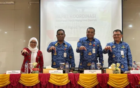 Pemprov Papua Tengah Perkuat Pelestarian Mangrove Lewat Pembentukan KKMD