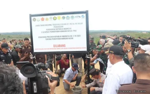 MataHukum: Presiden Harus Evaluasi Satgas PKH, Sawit Tesso Nilo Masuk Pabrik