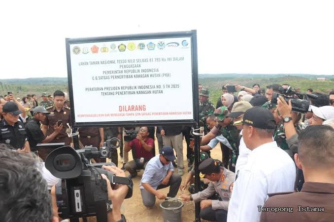 Matahukum: Presiden Harus Evaluasi Satgas Pkh, Sawit Tesso Nilo Masuk Pabrik