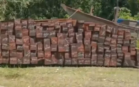 Diduga Tanpa Dokumen Resmi, Aktivitas Penampungan Kayu di Moswaren Jadi Sorotan