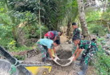 Jembatan Perintis Garuda: Langkah Nyata Kodim 0601 Buka Akses Selatan Banten