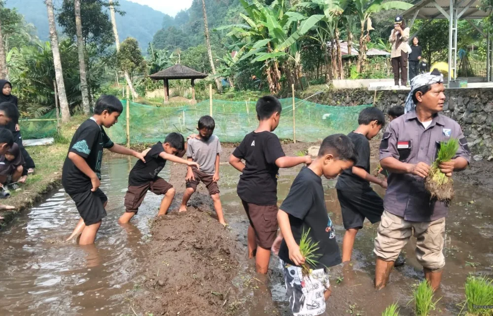 53 Siswa Sdn 09 Lenteng Agung Ikuti Perkemahan Pramuka Di Wisata Alam Pangrango