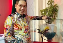 Tak Beri Rekomendasi Ke Rrt, Bobby Nasution Dinilai Halangi Peluang Investasi Untuk Medan