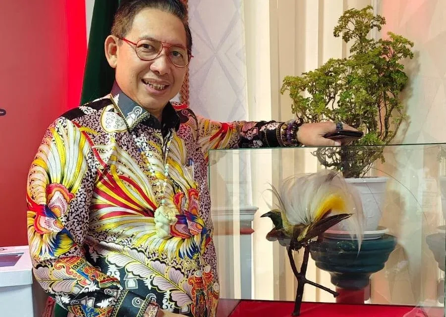 Tak Beri Rekomendasi Ke Rrt, Bobby Nasution Dinilai Halangi Peluang Investasi Untuk Medan