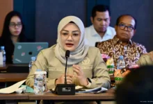 Adde Rosi Soroti Maraknya Kekerasan Seksual Di Pandeglang, Minta Sekolah Dan Orang Tua Perketat Pengawasan Anak
